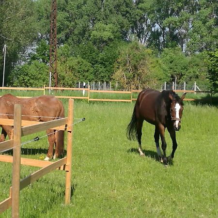 Ferienpark Aparthotel Seeland Schadeleben Zewnętrze zdjęcie